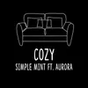 About Cozy Song