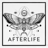 About Afterlife Song