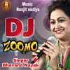 About DJ ZOOMO Song