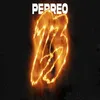 About 23 Perreo Song