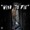 About Wish To Die Song