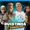 About Bucetinha criminosa Song