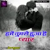 About Hame Tumse Hua Hai Pyaar Song