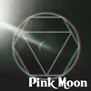 About Pink Moon Song