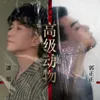 About 高级动物 Song