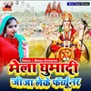 About Mela Ghumadi Jija Leke Fortuner Song