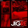 About Jigre Song