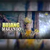 About Bujang Marando Song