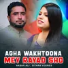 About Agha Wakhtoona Mey Rayad Sho Song