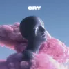 About Cry Song