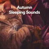 Calming Sounds