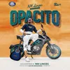 About Opacito Song