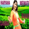 Haryana Mewati Sahina BANO