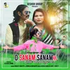 About O SANAM SANAM RE KITNA TADPAOGI RE Song