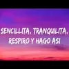 About Sencillita, Tranquilita, respiro y hago así Song