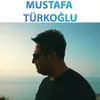 About Ateşe Attım Song