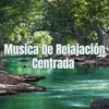 About Musica De Relajación Centrada Song