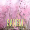 About Sanem Song