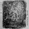 About Concrete Womb Song