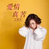 About 爱情真苦 Song