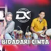 About Bidadari Cinta Song