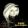 About Gesi Bağları Song