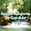 Sonido Relajante De Cascada