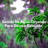 About Sonido De Agua Cayendo Para Dormir Relajado Song