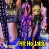 About Hit Ho Jaibu Song