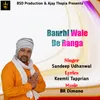 About Baurhi Wale De Ranga Song