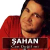 About Can Değil mi ? Song