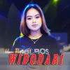 About Widodari Song