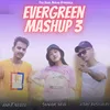 About Evergreen Mashup 3 Song