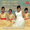 About Gulabi Gulabi Song