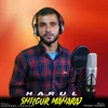 About Shilgur Maharaj Harul Song