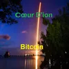 About Bitcoin Song