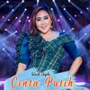 Cinta Putih