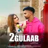 About 2 Gulaab Song