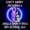 Run It Back DJ Purple Rabbit Jungle Vibes Remix