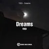 About Dreams Song