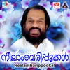 Avani Nin Mudiyizhayil