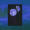 About The Voice of Flowers Song