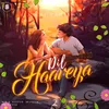 About Dil Haareya Song
