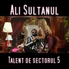 About Talent de sectorul 5 Song