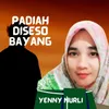 About Padiah Diseso Bayang Song