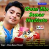 About Gour Elo Sonar Nadiate Song