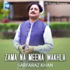 About Zama Na Meena Wakhla Song