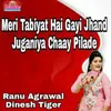 About Meri Tabiyat Hai Gayi Jhand Juganiya Chaay Pilade Song