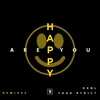Are You Happy Extended Version