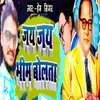 About Jai Jai Bhim Bolata Song